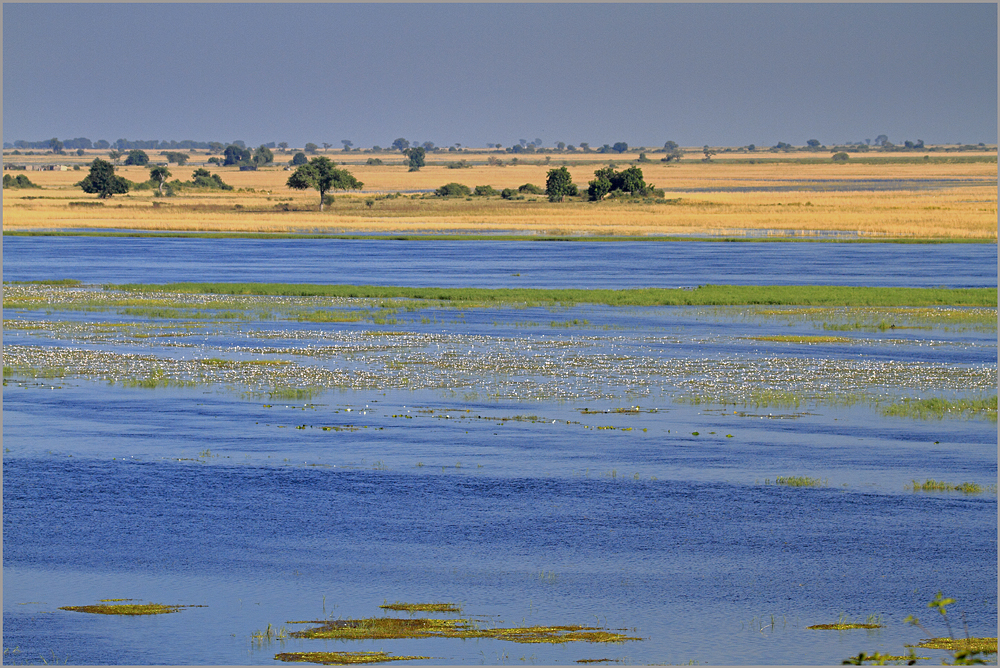 Landschaft am Chobe