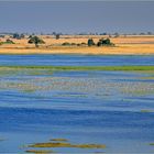 Landschaft am Chobe