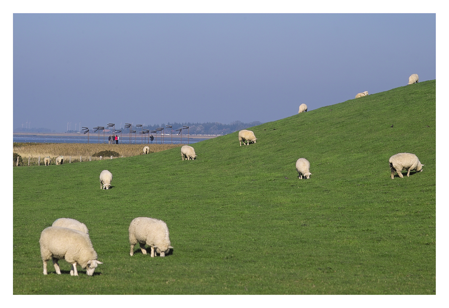 Landschaft am Deich Husum