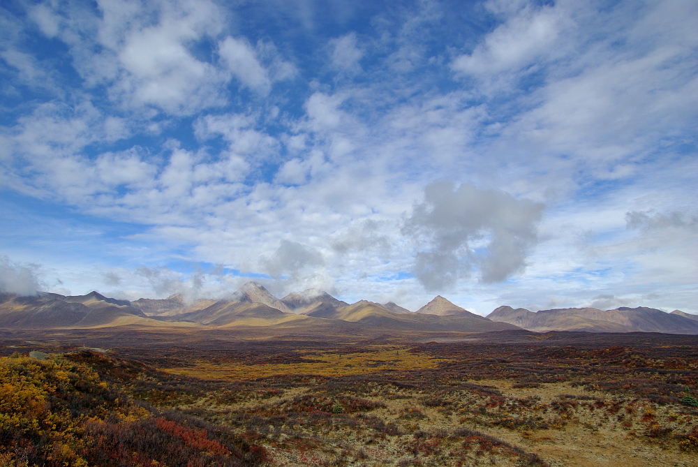 Landschaft am Denali Highway (Alaska)