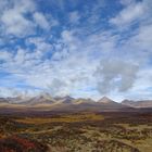 Landschaft am Denali Highway (Alaska)