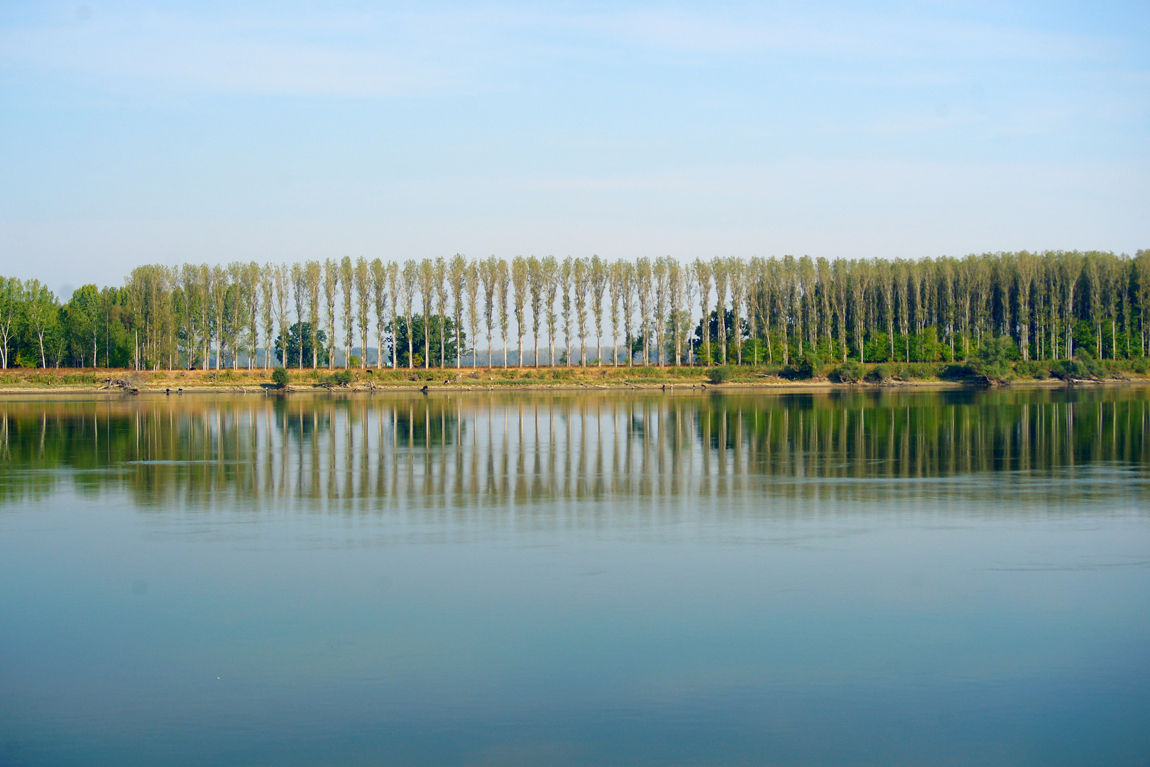  Landschaft am der Donau