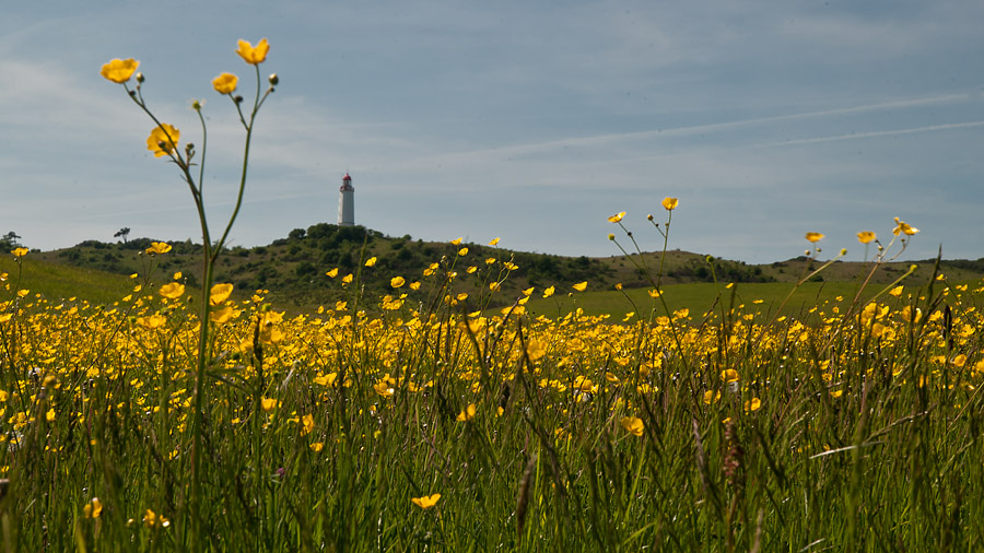 Landschaft am Dornbusch