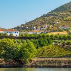 Landschaft am Douro