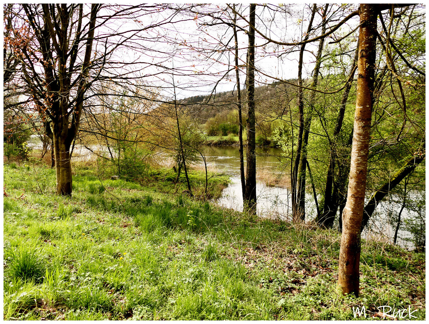 Landschaft am Fluss