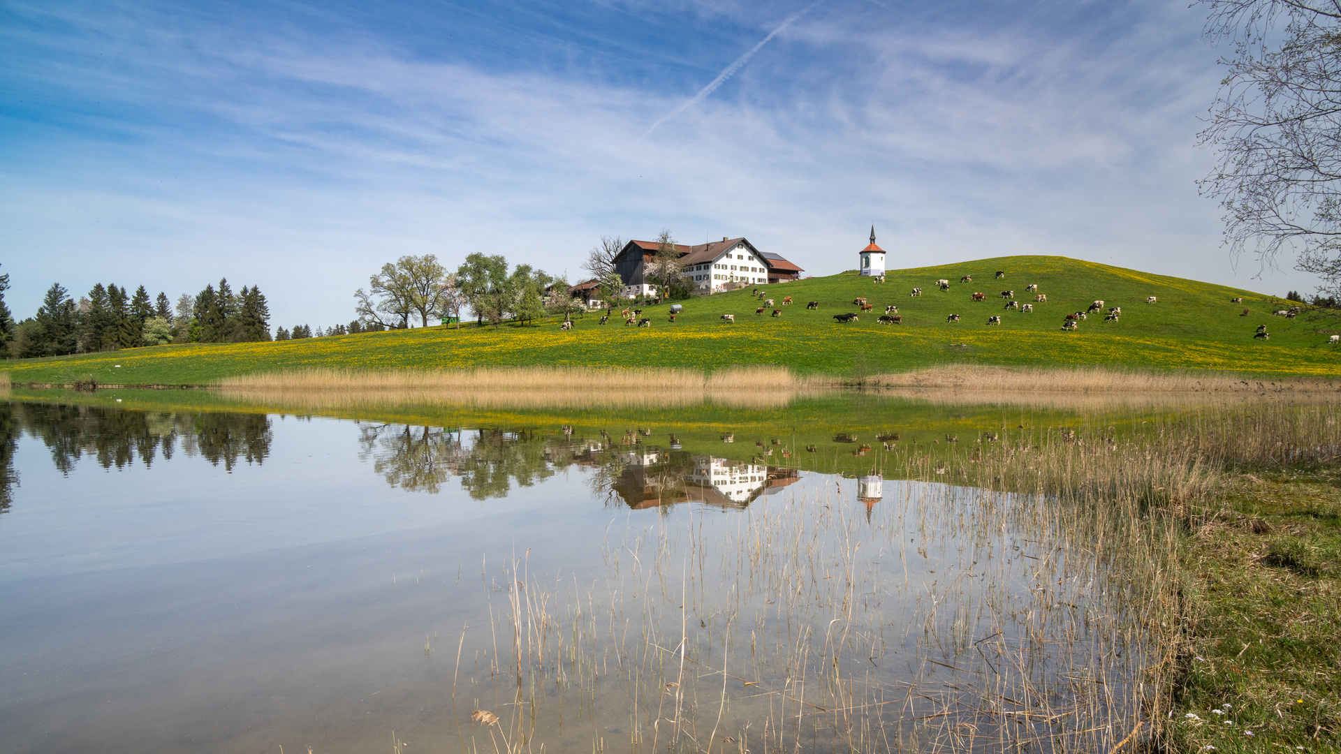 Landschaft am Forggensee bei Füssen