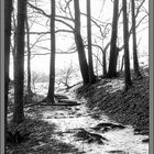 Landschaft am Goßen Bärenstein