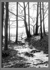 Landschaft am Goßen Bärenstein