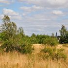 Landschaft am Hardtsee 