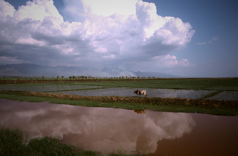 Landschaft am Inle See