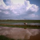 Landschaft am Inle See