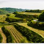 Landschaft am Kaiserstuhl