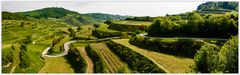 Landschaft am Kaiserstuhl