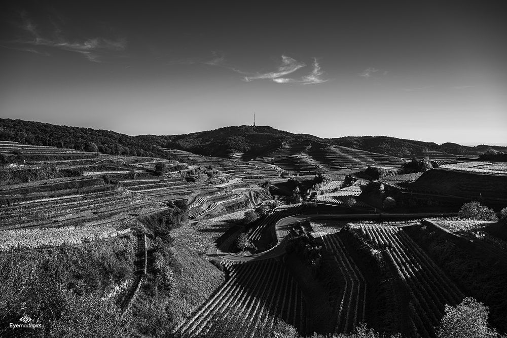 Landschaft am Kaiserstuhl