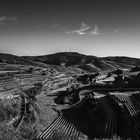 Landschaft am Kaiserstuhl