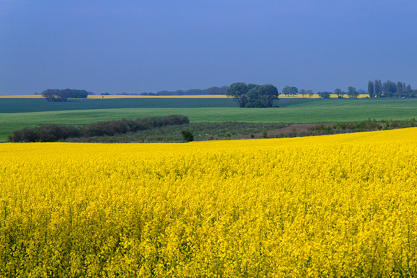 Landschaft am Kap Arkona