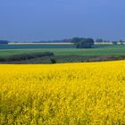 Landschaft am Kap Arkona