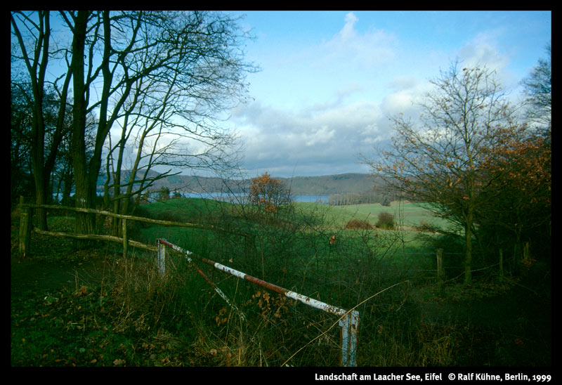 Landschaft am Laacher See 1999