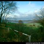 Landschaft am Laacher See 1999