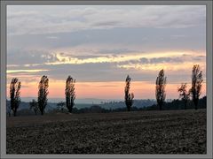 Landschaft am Lilienstein