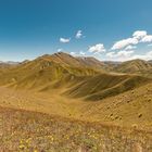 Landschaft am Lindis Paß, Neuseeland