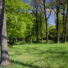 Landschaft am Luisium