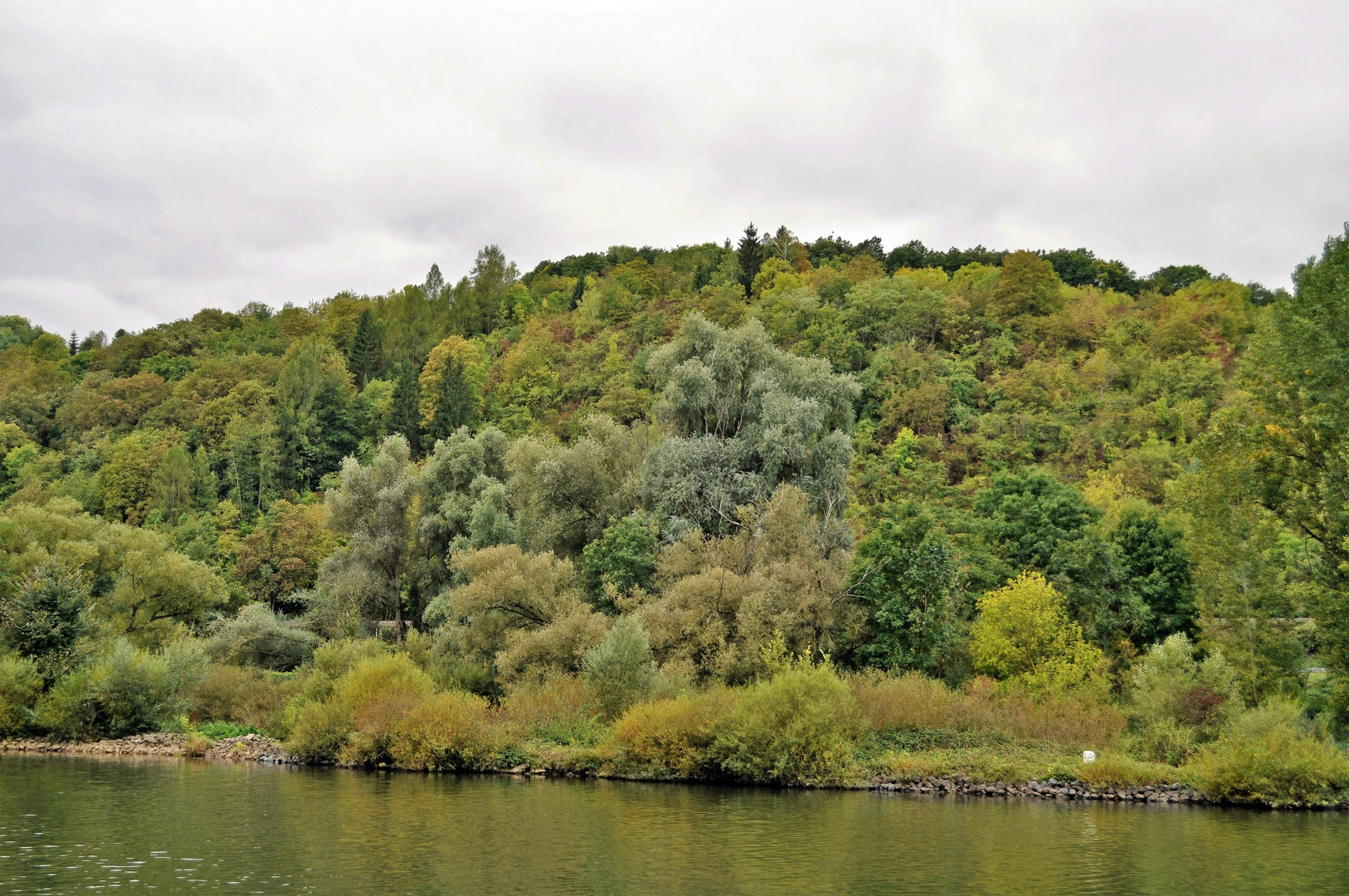 Landschaft am Main