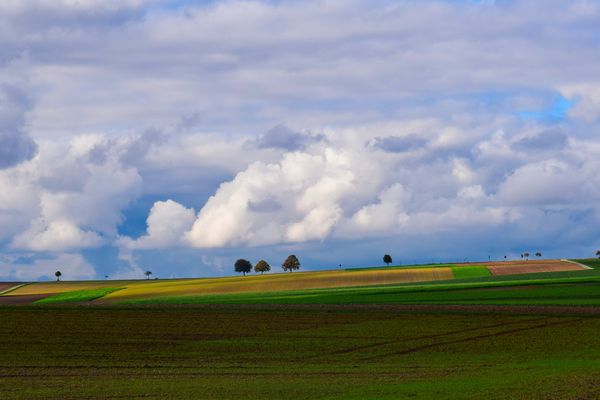 Landschaft am Main