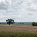 Landschaft am Malchiner See 2