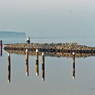 LANDSCHAFT AM MEER ZWISCHEN SPIEGELUNG UND BEGINNENDEM NEBEL