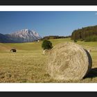 Landschaft am Mieminger Plateau/Tirol