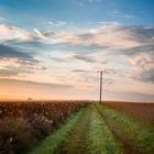 Landschaft am Morgen