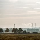 LANDSCHAFT AM MORGEN AUS DEM FAHRENDEN ZUG GESEHEN #2