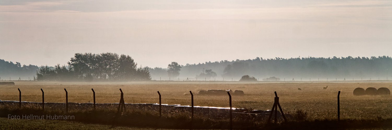 LANDSCHAFT AM MORGEN AUS DEM FAHRENDEN ZUG GESEHEN 