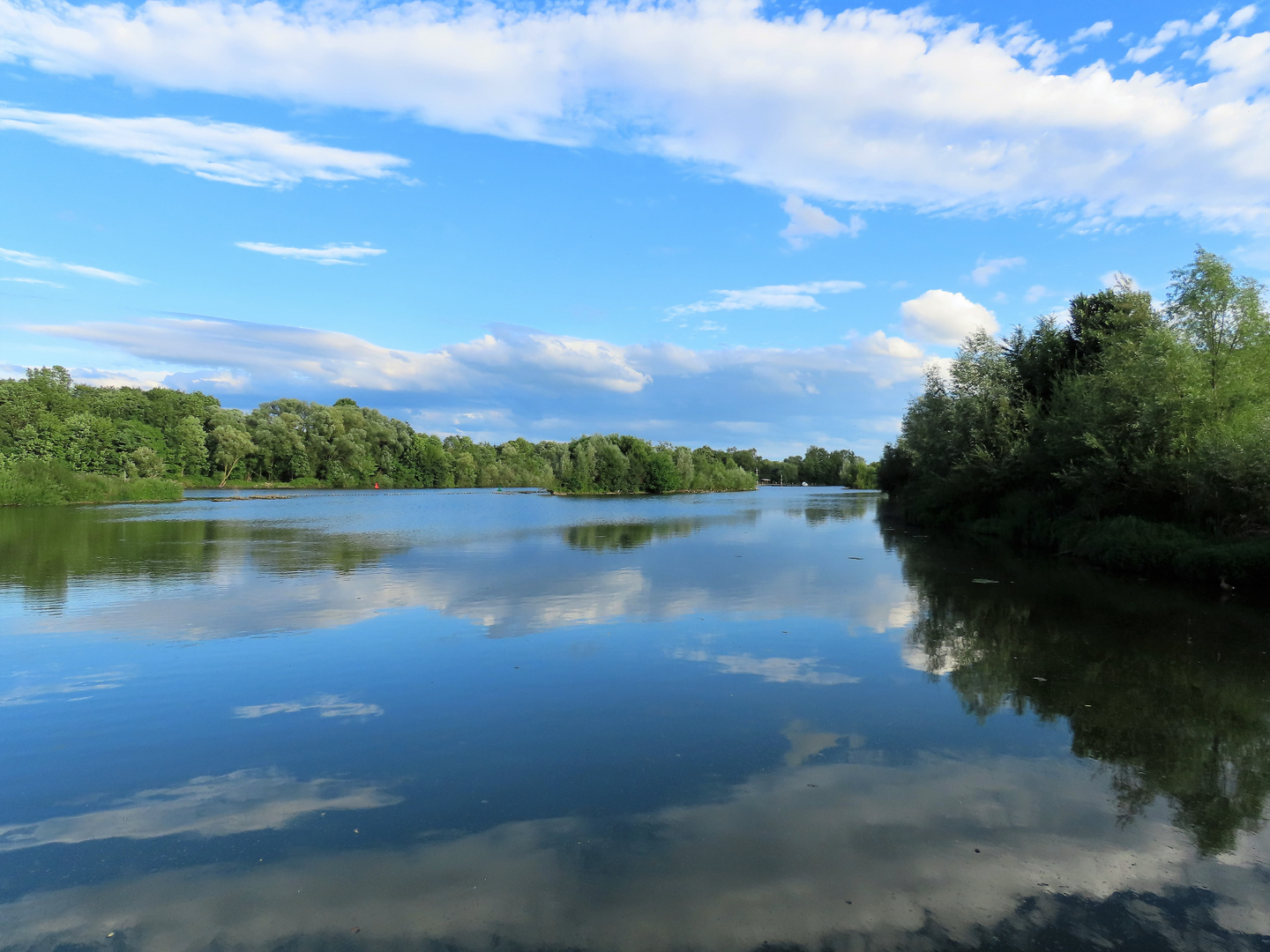 Landschaft am Neckar