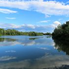 Landschaft am Neckar