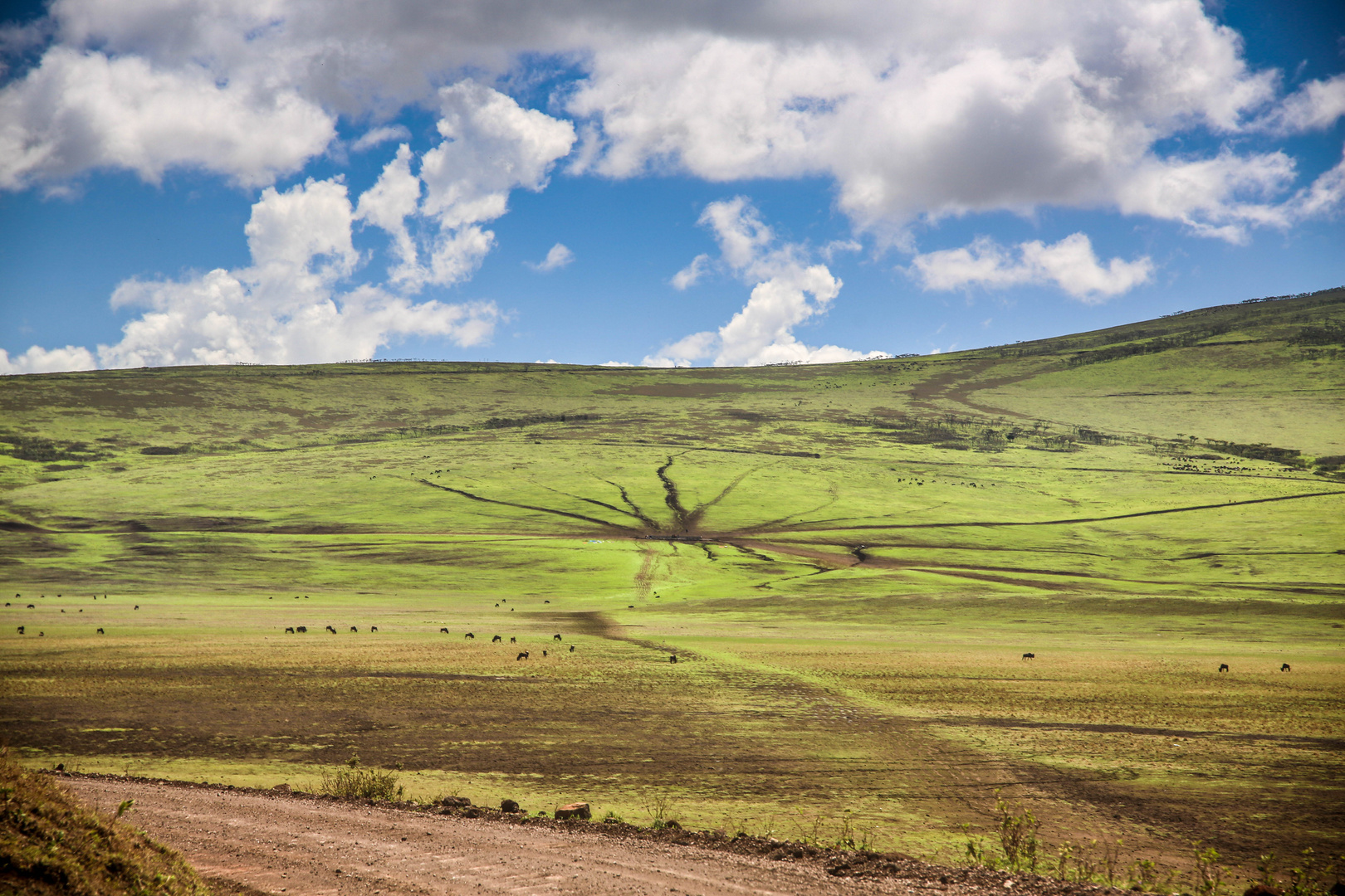 Landschaft am NgoroNgoro-Krater