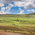 Landschaft am NgoroNgoro-Krater