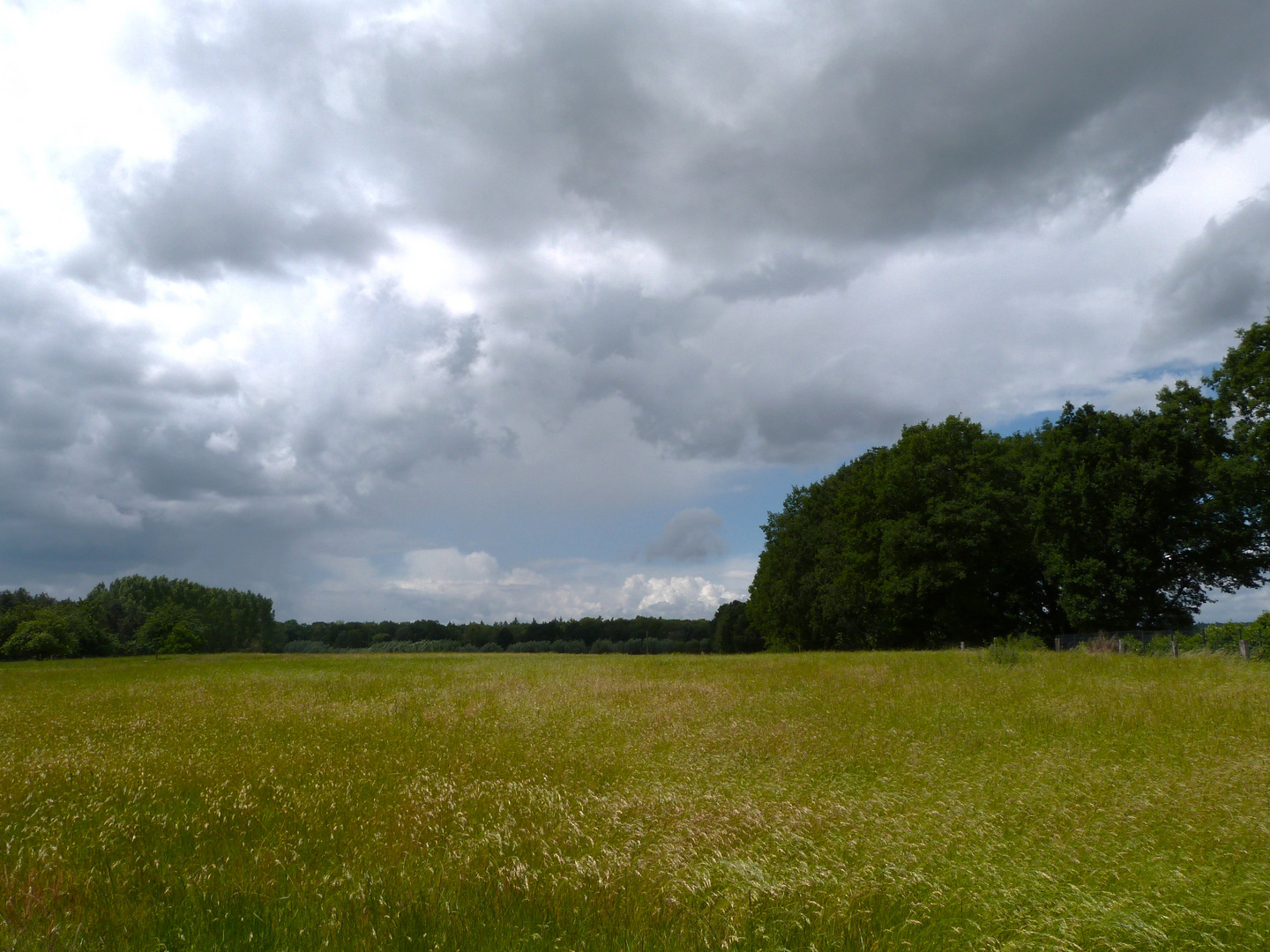 Landschaft am Niederrhein