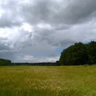 Landschaft am Niederrhein