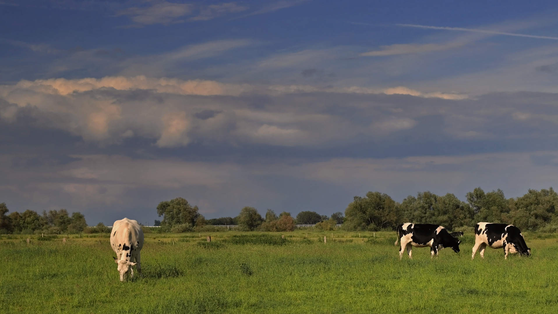 Landschaft am Niederrhein (10)