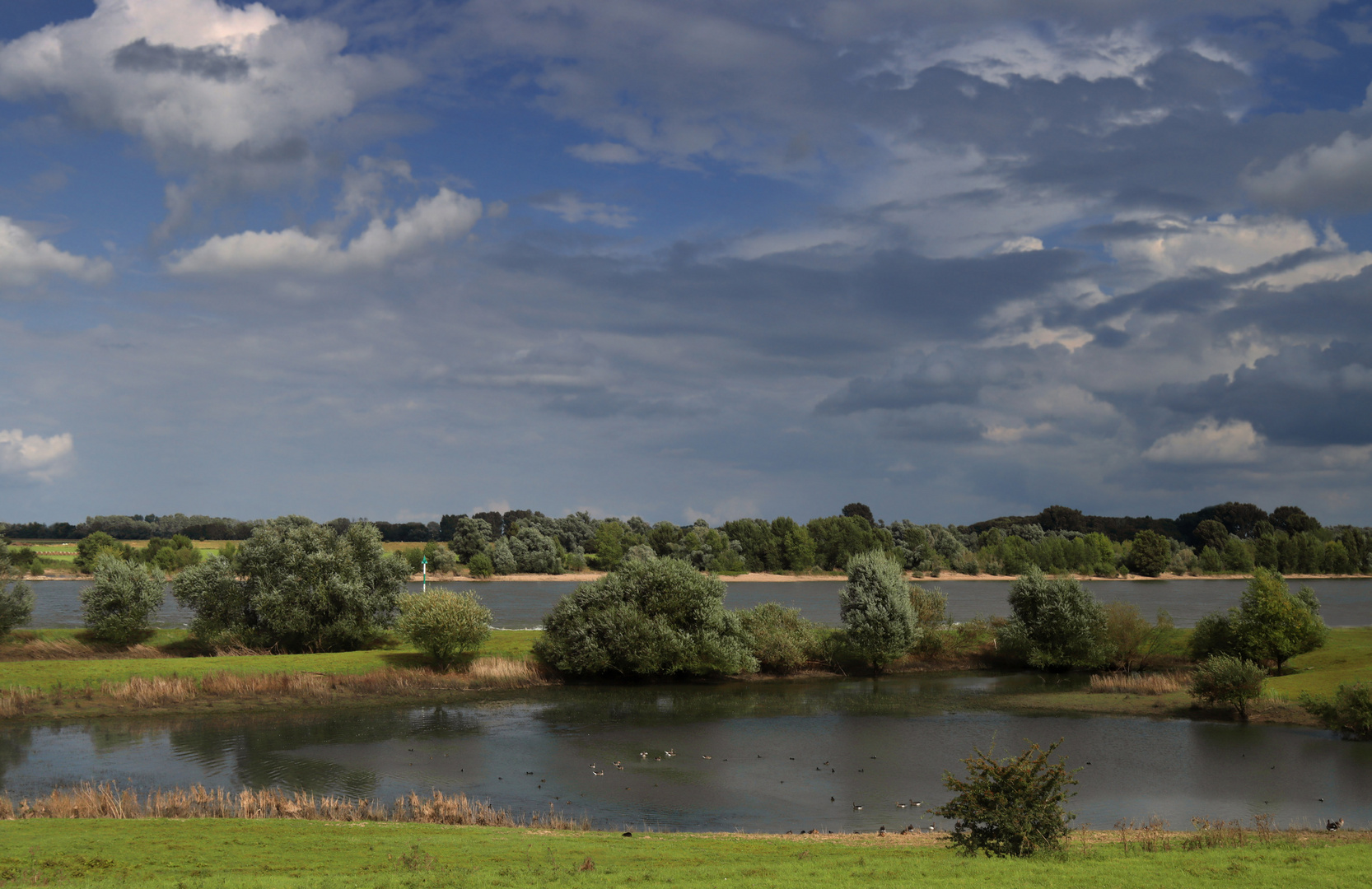 Landschaft am Niederrhein (11)