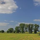 Landschaft am Niederrhein (12)