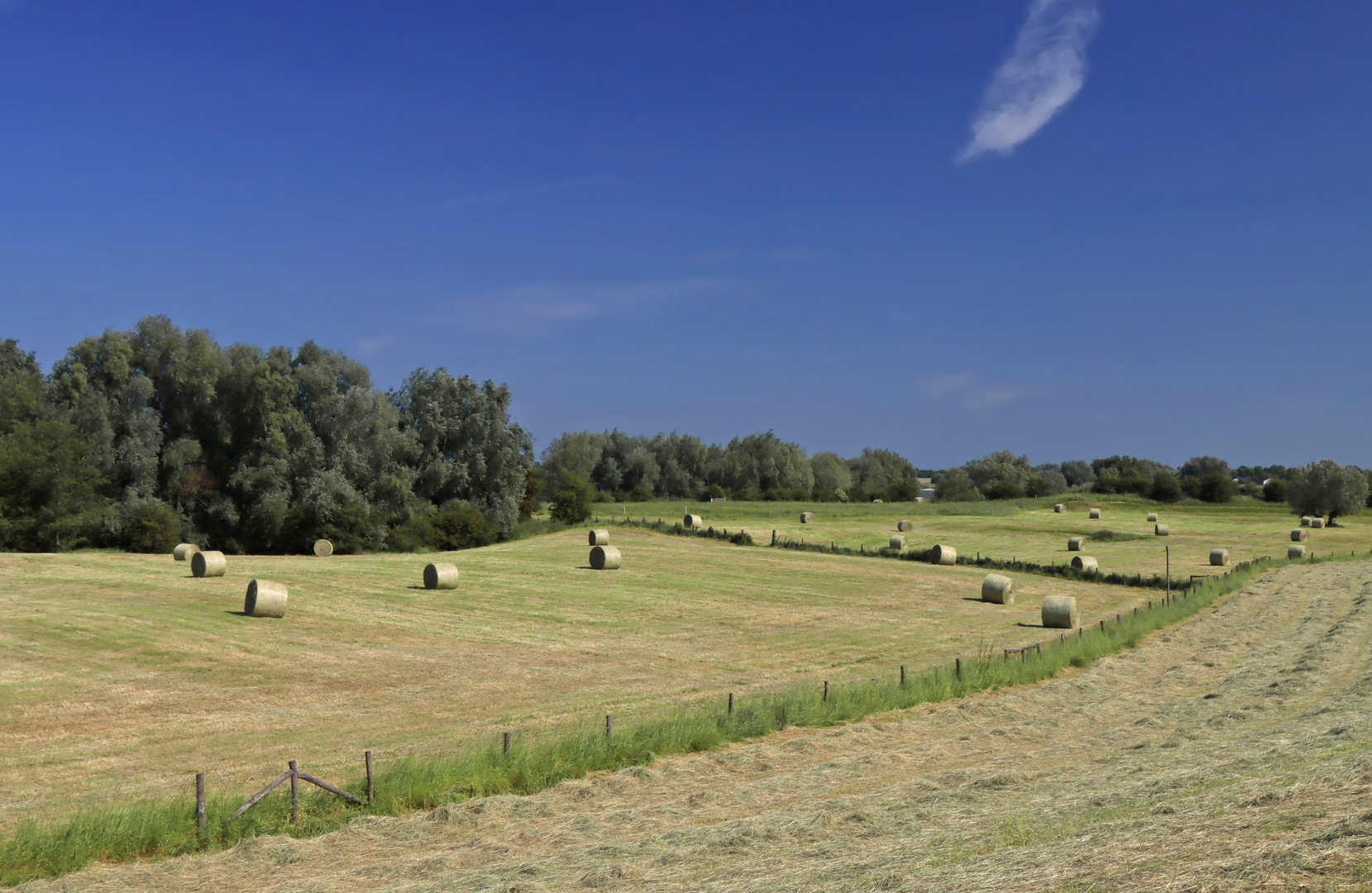 Landschaft am Niederrhein (13)