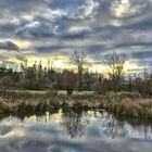 Landschaft am Niederrhein