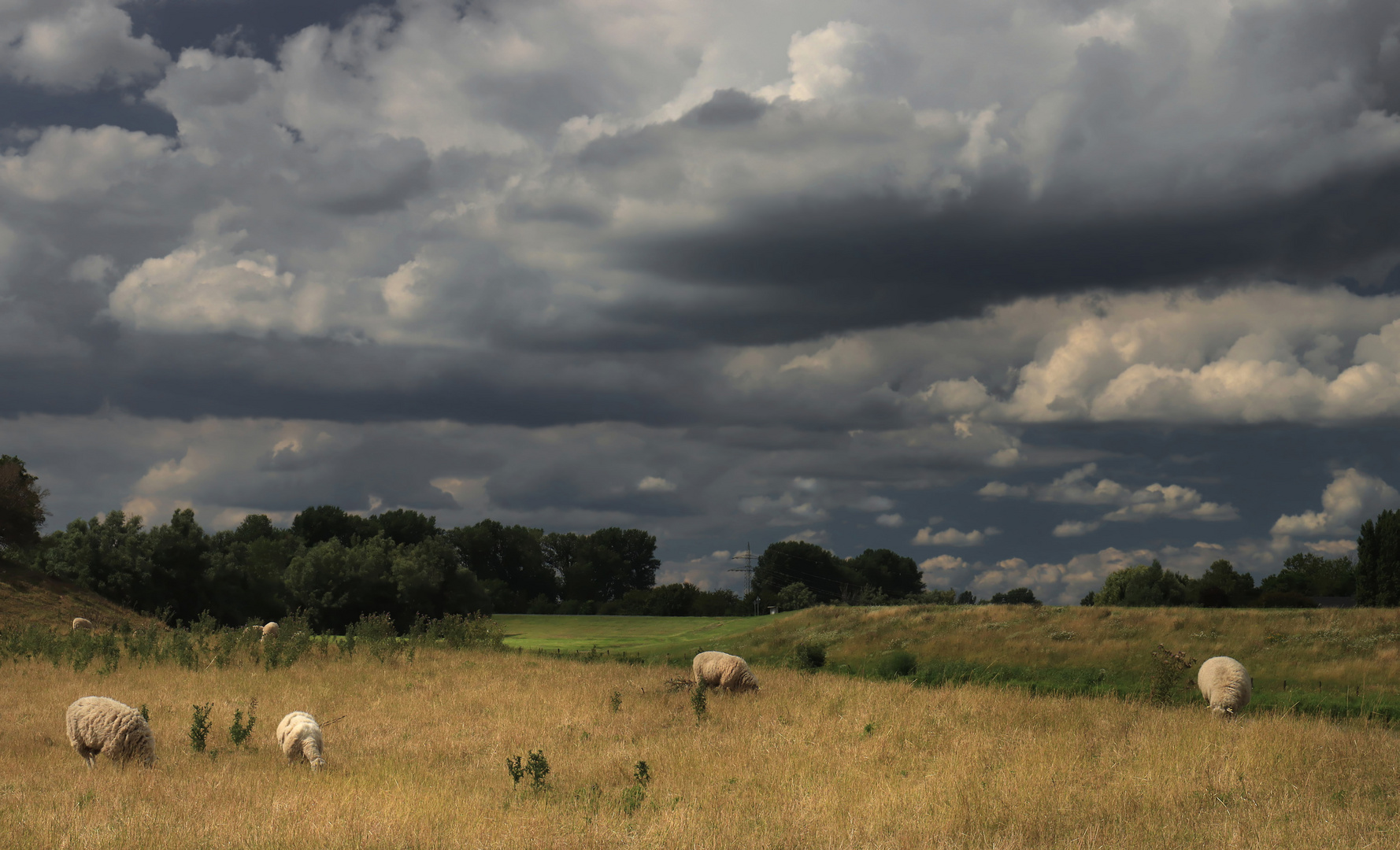 Landschaft am Niederrhein (2)