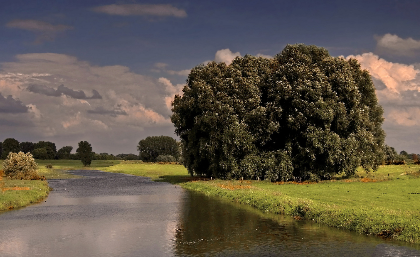 Landschaft am Niederrhein (6)