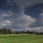 Landschaft am Niederrhein (7)