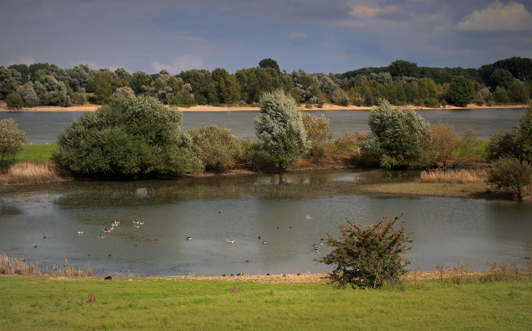 Landschaft am Niederrhein (8)