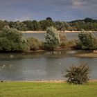 Landschaft am Niederrhein (8)